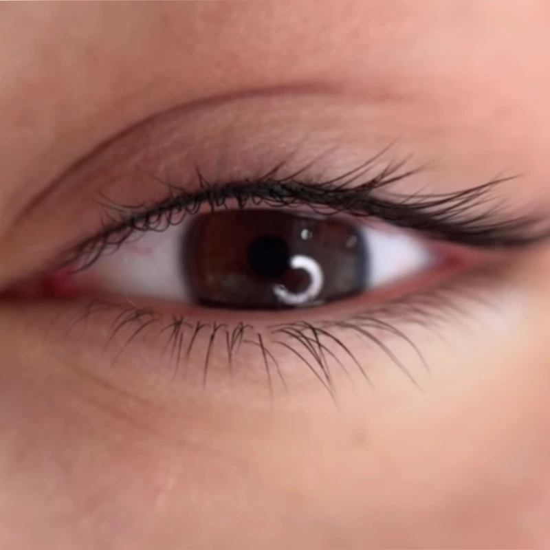 قیمت بن مژه