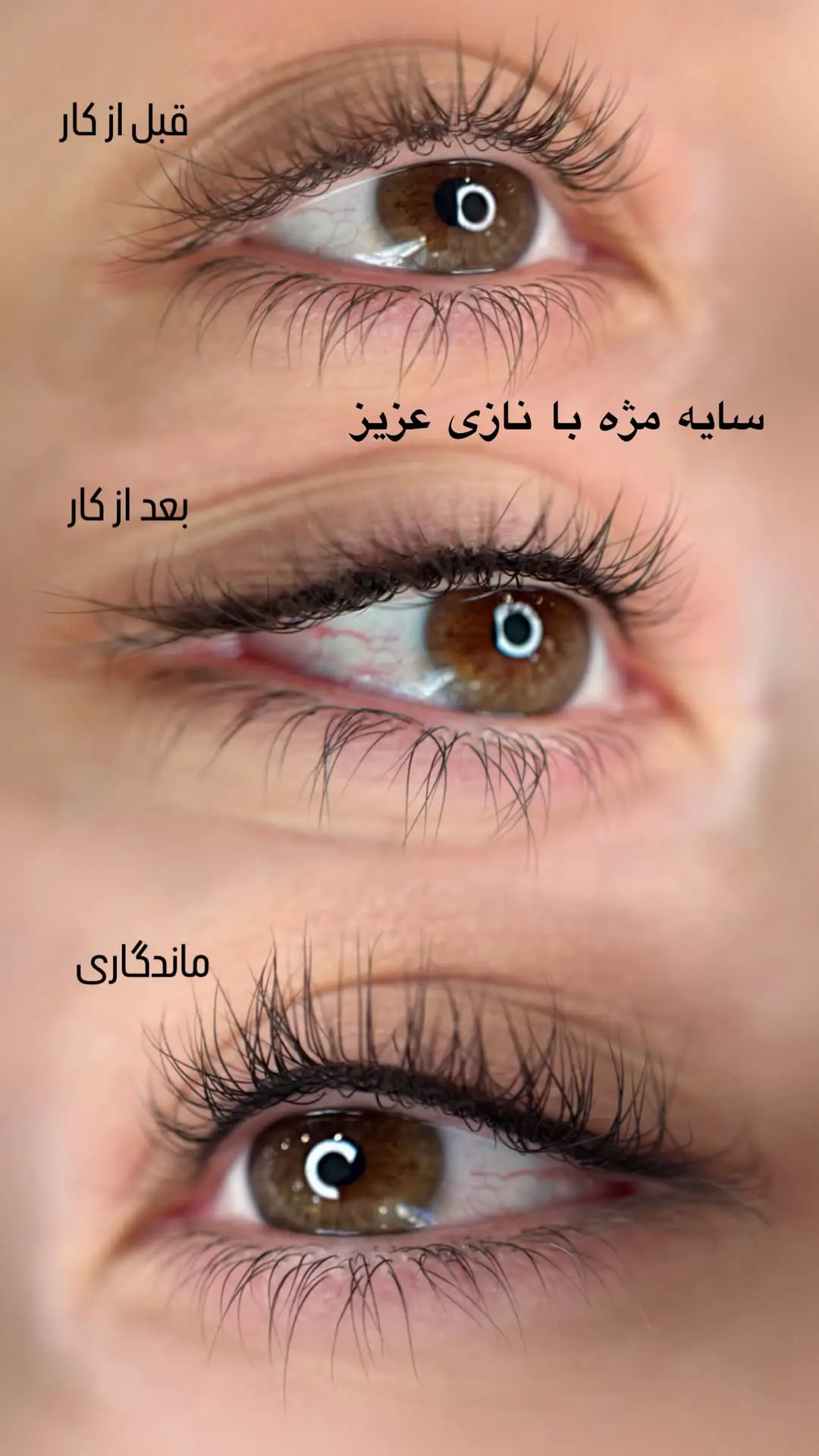 عکس قبل و بعد بن مژه همراه با نتیجه ماندگاری بن مژه